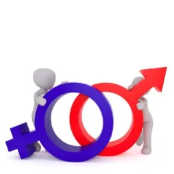 “Women negotiate poorly, lack self-confidence and are risk-averse.” Really?
